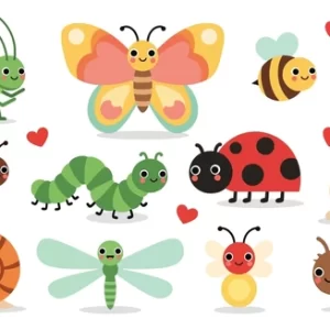Bugs & Butterflies!  Tues 25th Aug  10.30-12.30pm