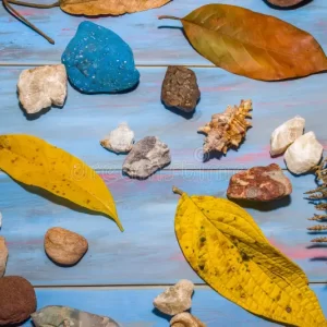 Nature!  Mon 27th July  10.30-12.30pm